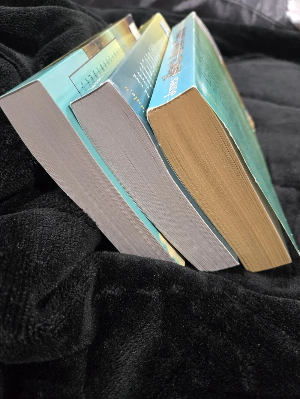 Howls Moving Castle, Castle in the Air, and House of Many Ways Book Set - Picture 4 of 5
